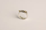 Swing ring